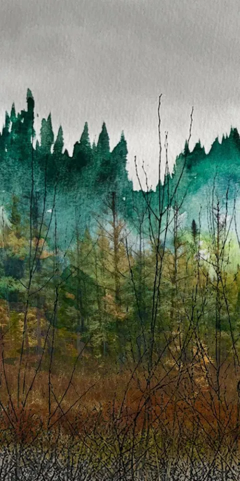 Teal and rust conifers rising from a misty gray ground