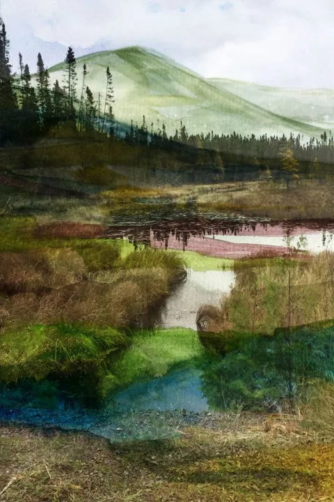 A winding stream through green marsh toward a distant hill
