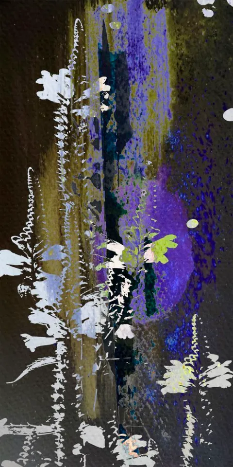 Slender white wildflowers against a deep violet and green stripe