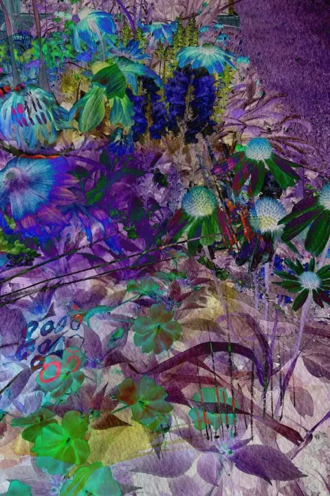 A dense garden of violet, blue and green flowers and leaves