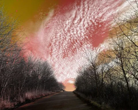New Horizon: A country road under a pink, rippled sky lined with bare trees