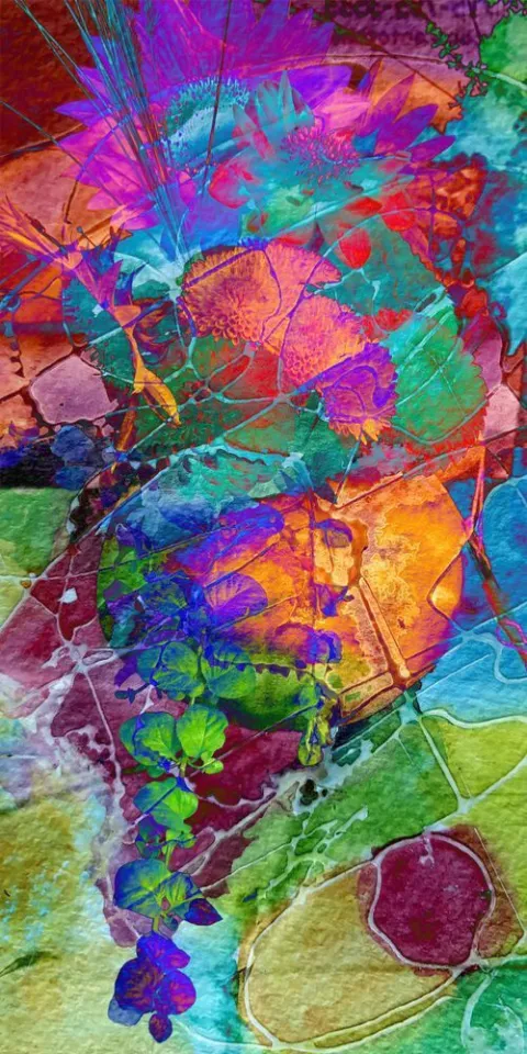 A burst of orange, magenta and turquoise petals with a red circle below