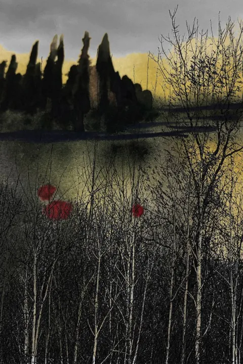 Dark trees and three red points above a black reflecting lake