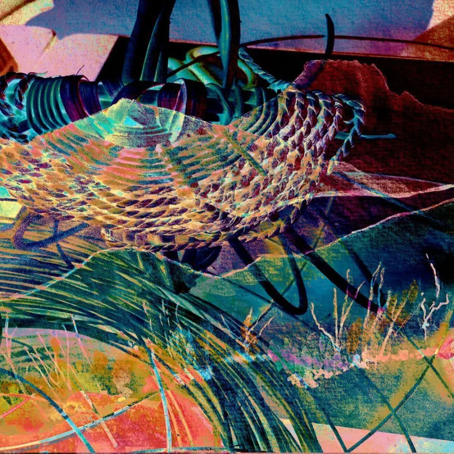 Woven Odyssey: Swirling bands of orange, teal and red woven over dark leaves, like a basket pattern seen through water
